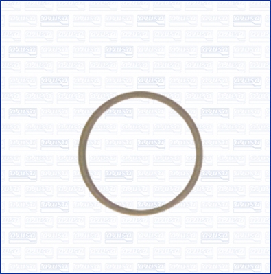 Seal Ring, oil drain plug - 22004800 AJUSA