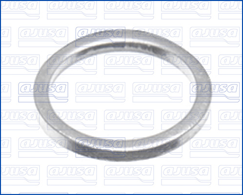 Seal Ring, oil drain plug - 22004800 AJUSA