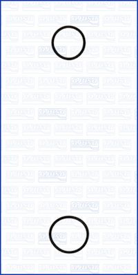 Gasket Set, water pump - 77001900 AJUSA