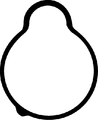 Gasket, intake manifold - 026456H CORTECO