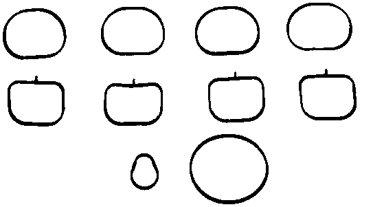 Gasket, cylinder head cover - 440004P CORTECO