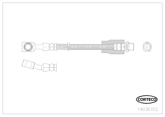 Brake Hose - 19036352 CORTECO