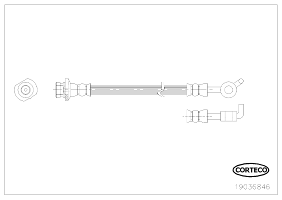 Brake Hose - 19036846 CORTECO