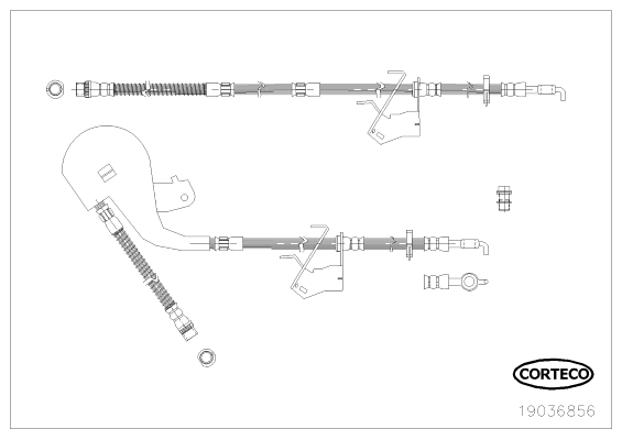 Brake Hose - 19036856 CORTECO