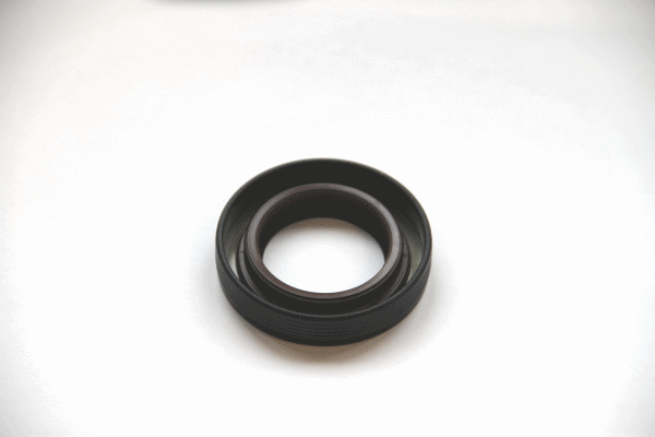 Shaft Seal, differential - 20015493B CORTECO
