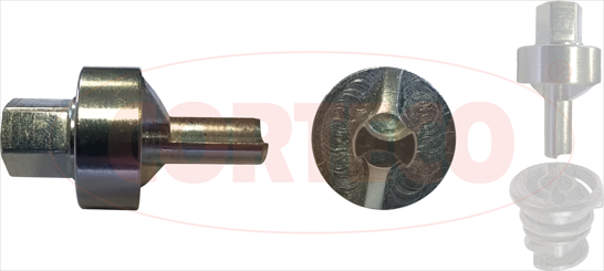 Serie di bussole, vite di scarico olio - 49379180 CORTECO