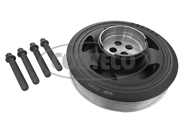 Shaft Seal, differential - 01020537B CORTECO