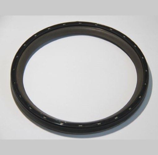 Seal Ring - 01025508B CORTECO