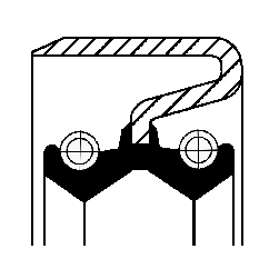 Shaft Seal, camshaft - 20029115B CORTECO