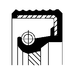 Shaft Seal, crankshaft - 20019853B CORTECO