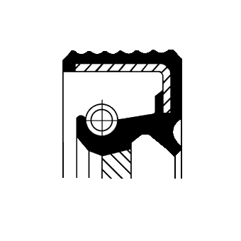 Shaft Seal, crankshaft - 20018246B CORTECO