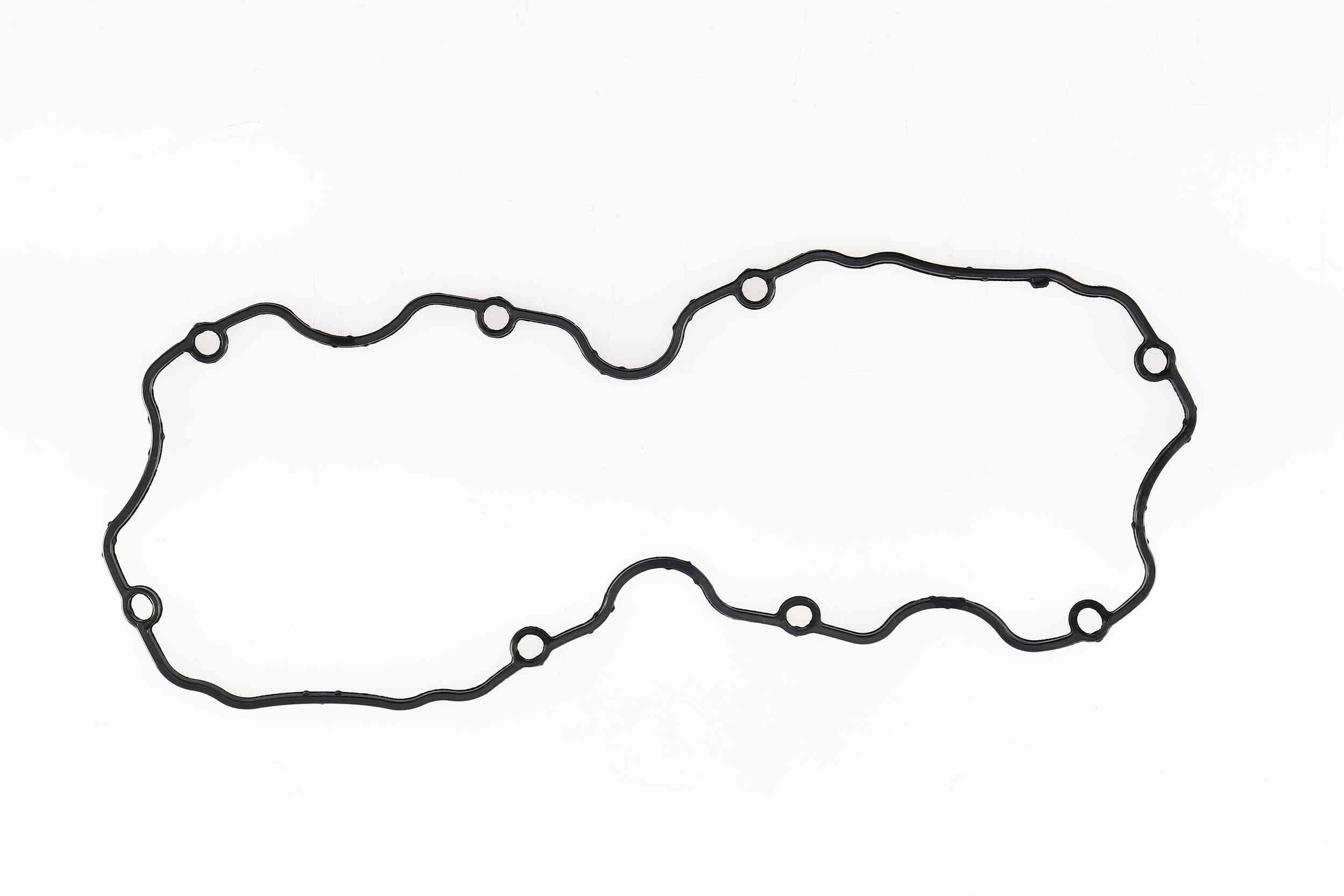 Gasket, cylinder head cover - 423925P CORTECO