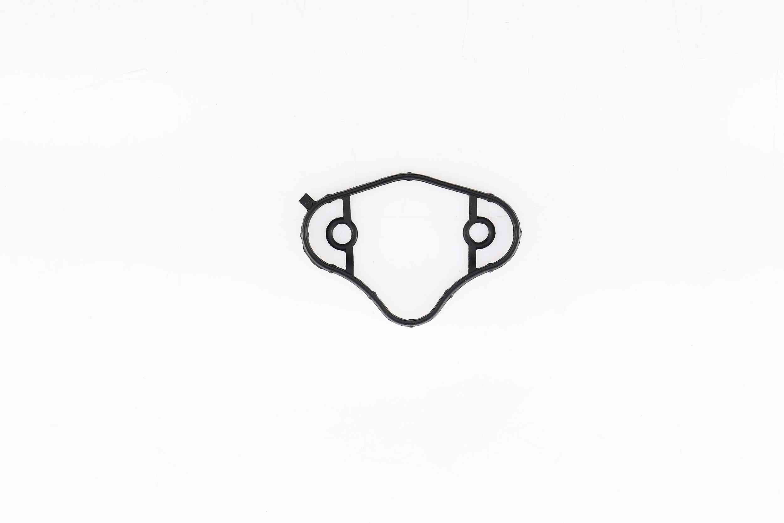 Gasket, cylinder head cover - 440480H CORTECO