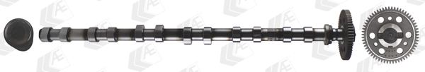 Camshaft - CAM1017 AE