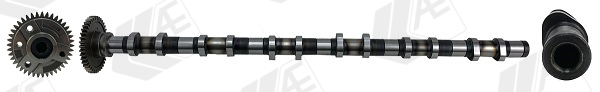 Camshaft - CAM1028 AE