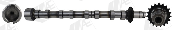 Camshaft - CAM1031 AE