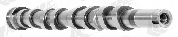 Camshaft - CAM1046 AE