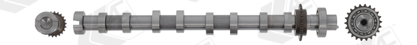 Camshaft - CAM1071 AE
