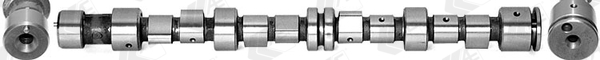 Camshaft - CAM369 AE
