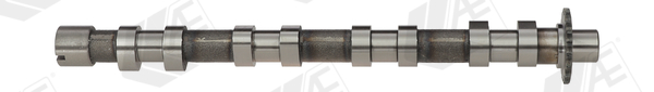 Camshaft - CAM748 AE