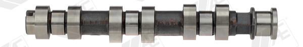 Camshaft - CAM809 AE