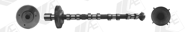 Camshaft - CAM973 AE
