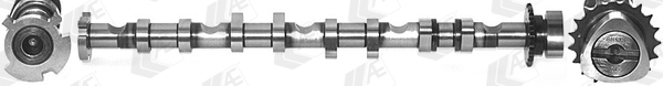 Camshaft - CAM981 AE