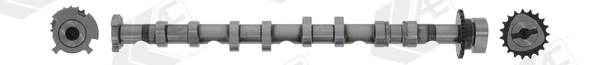 Camshaft - CAM981 AE