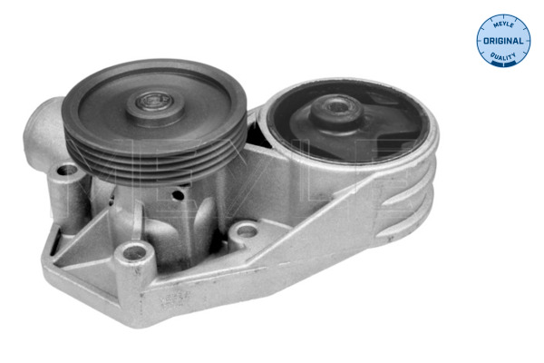 Water Pump - 013 012 0039 MEYLE