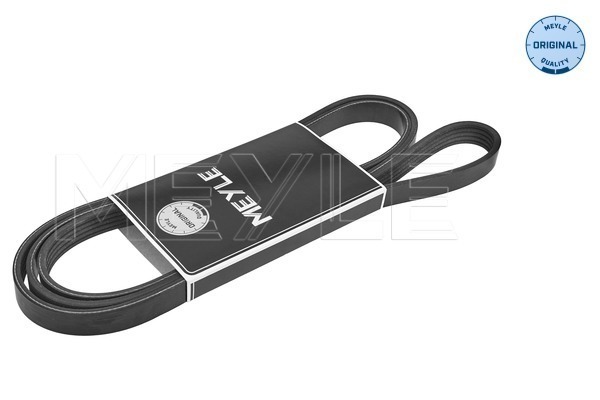 Cinghia Poly-V - 050 005 1745 MEYLE