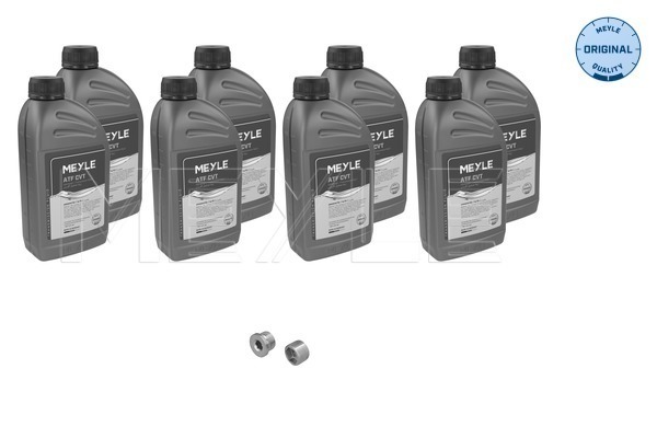 Parts Kit, automatic transmission oil change - 100 135 0117 MEYLE