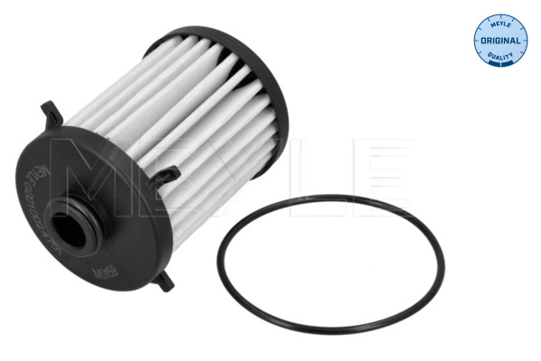 Hydraulic Filter, automatic transmission - 100 136 1007 MEYLE