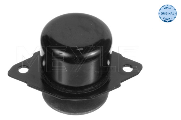 Engine Mounting - 100 199 0027 MEYLE