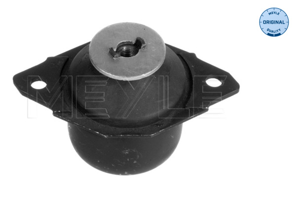 Sospensione, Motore - 100 199 0028 MEYLE