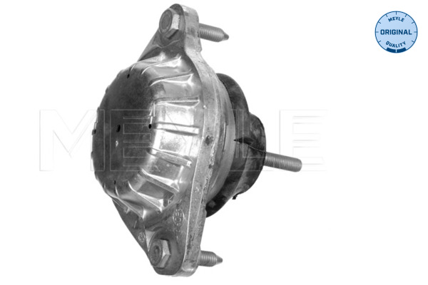 Engine Mounting - 100 199 0046 MEYLE