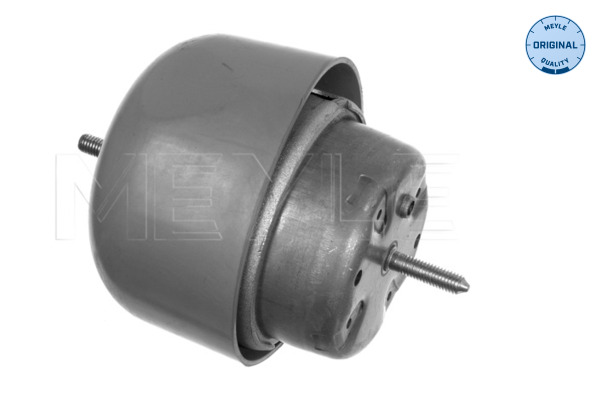 Engine Mounting - 100 199 0048 MEYLE