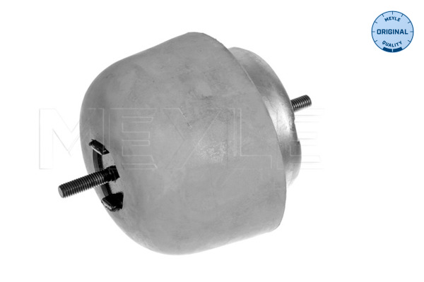 Engine Mounting - 100 199 0056 MEYLE
