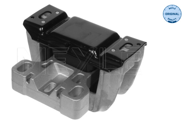 Sospensione, Motore - 100 199 0069 MEYLE
