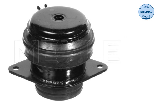 Engine Mounting - 100 199 0073 MEYLE