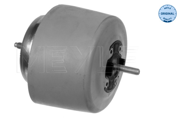 Engine Mounting - 100 199 0084 MEYLE