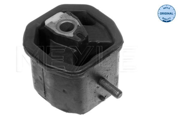 Sospensione, Motore - 100 199 0117 MEYLE