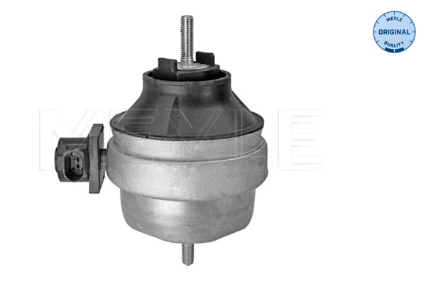 Engine Mounting - 100 199 0134 MEYLE