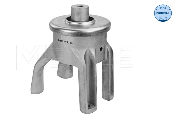 Sospensione, Motore - 100 199 0147 MEYLE