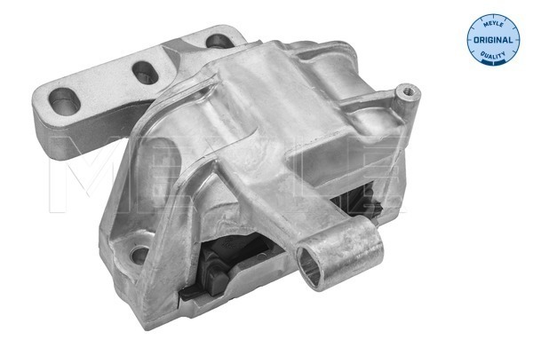 Sospensione, Motore - 100 199 0169 MEYLE