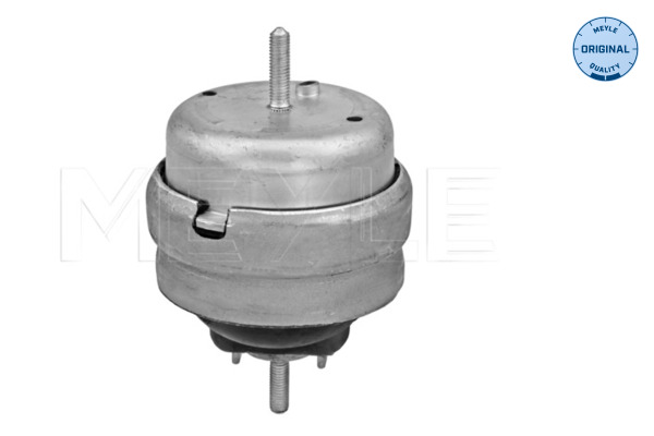 Engine Mounting - 100 199 0180 MEYLE