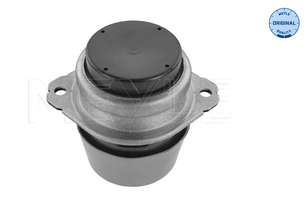 Engine Mounting - 100 199 0185 MEYLE
