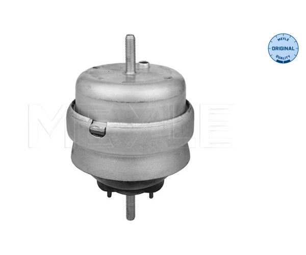 Engine Mounting - 100 199 0192 MEYLE