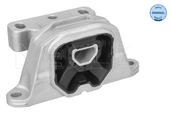 Sospensione, Motore - 100 199 0196 MEYLE