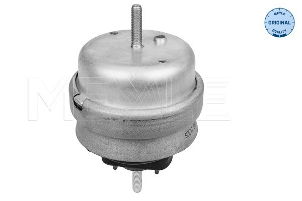 Engine Mounting - 100 199 0225 MEYLE