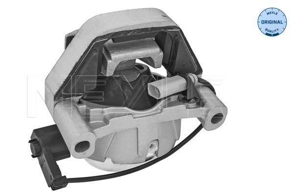 Sospensione, Motore - 100 199 0307 MEYLE